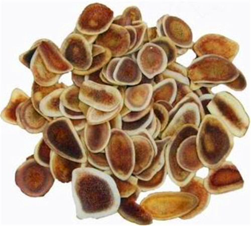 回收鹿茸價格